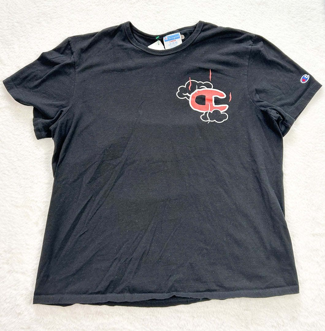 Champion T-shirt Size Large P0366
