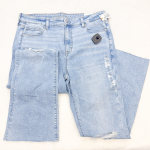 American Eagle Denim Size 15/16 Short (34) P0077