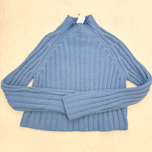 American Eagle Sweater Size Medium P0111
