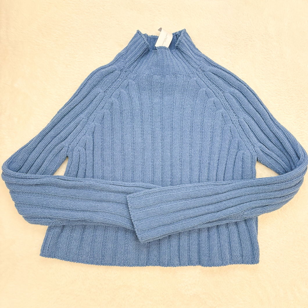 American Eagle Sweater Size Medium P0111
