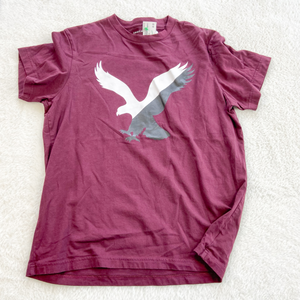 American Eagle T-shirt Size Medium P0385