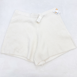 Aerie Shorts Size Large P0077